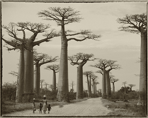 Madagascar_75