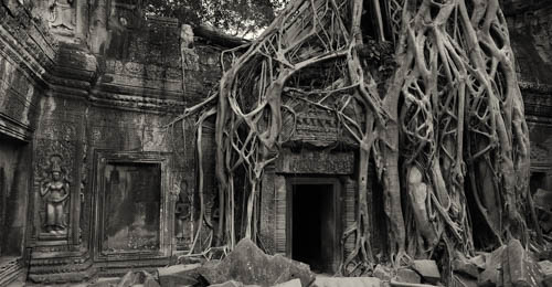 Angkor Wat - Space of Healing