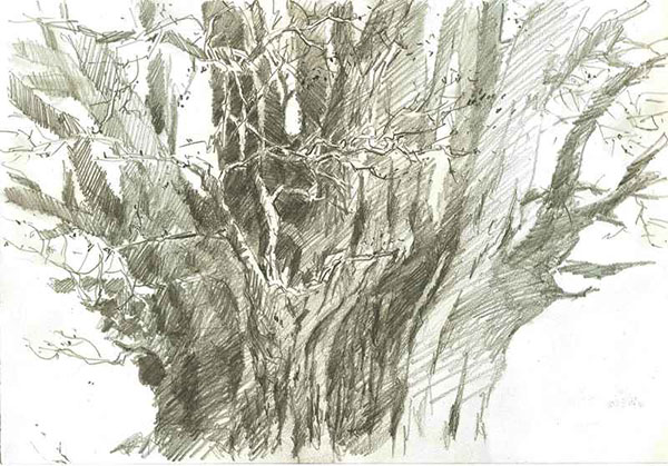 久山一枝さんの絵