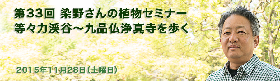 第33回 染野さんの植物セミナー 等々力渓谷～九品仏浄真寺を歩く