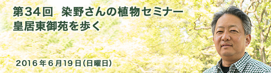 第34回 染野さんの植物セミナー 皇居東御苑を歩く