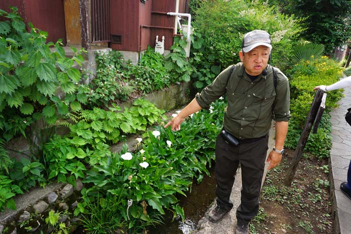 染野さんの植物セミナー