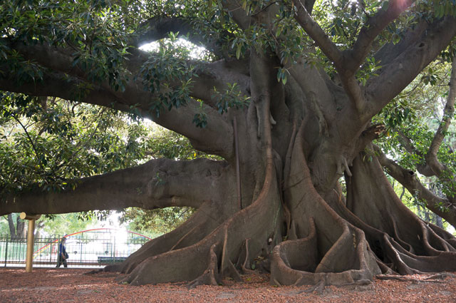 ブエノスアイレス