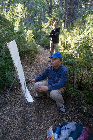 モンキーパズル