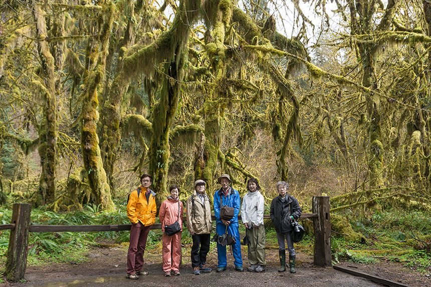 苔むした森をあるく オリンピックナショナルパーク