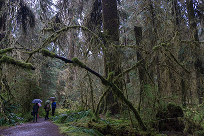 オリンピックナショナルパーク