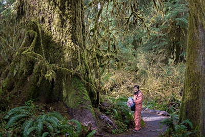オリンピックナショナルパーク