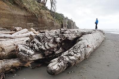 オリンピックナショナルパーク