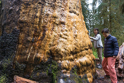 オリンピックナショナルパーク