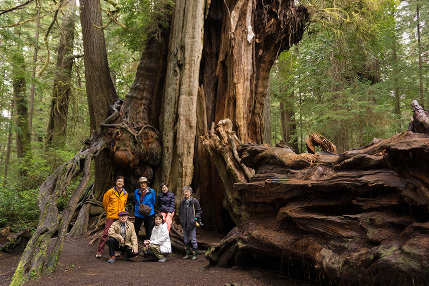 オリンピックナショナルパーク