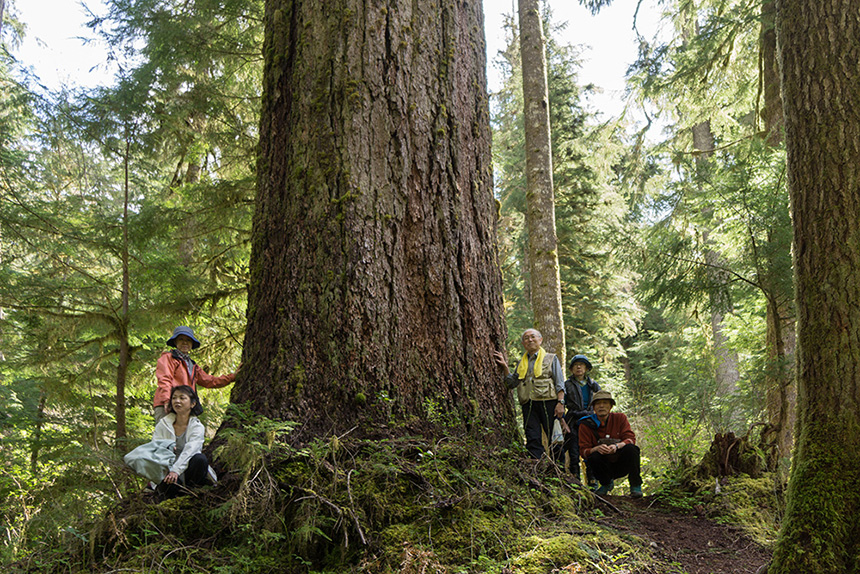 オリンピックナショナルパーク