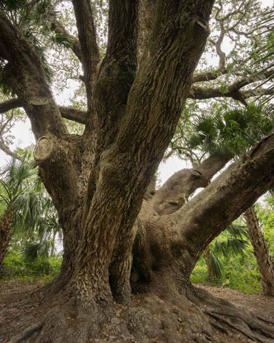 the entrance of Lake Griffin State Park in Fruitland Park