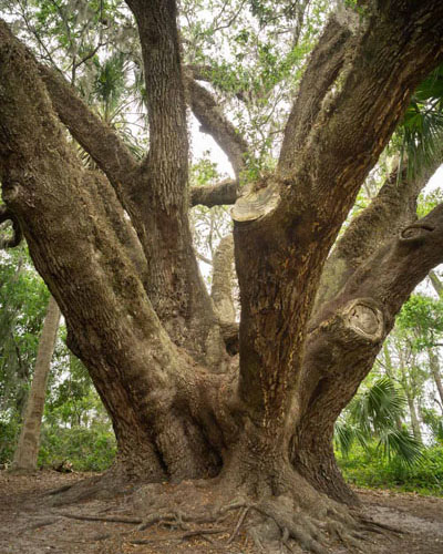 the entrance of Lake Griffin State Park in Fruitland Park