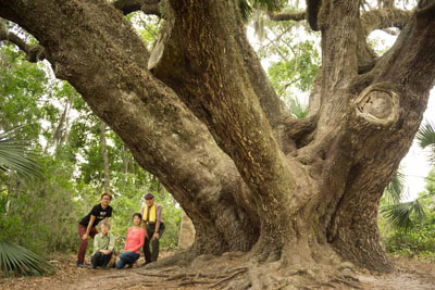 the entrance of Lake Griffin State Park in Fruitland Park