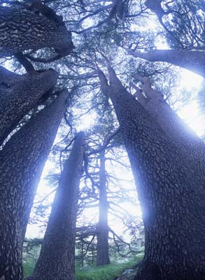 10.02.23_lenbanon066